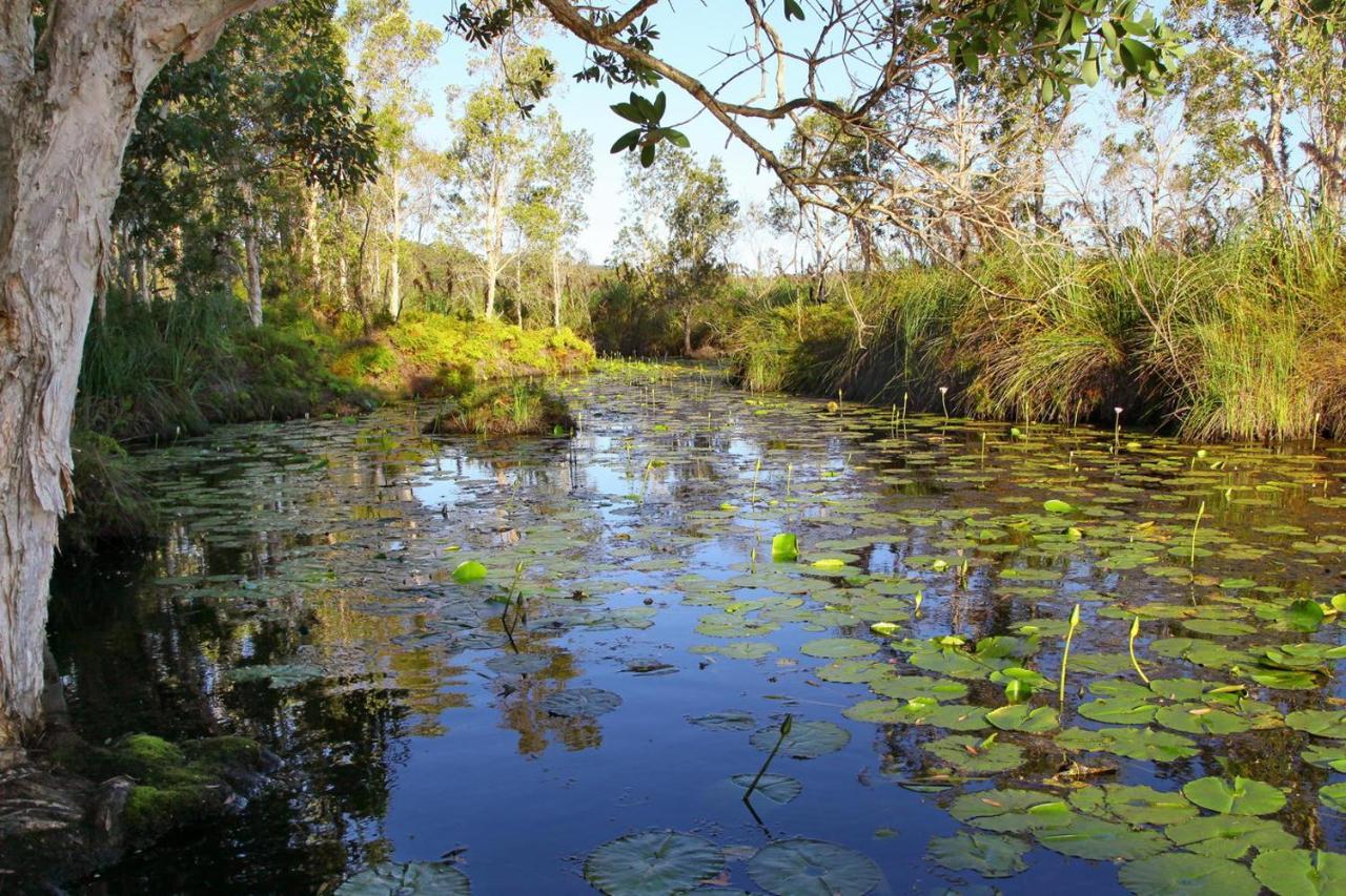 Salamander Bay Bed And Breakfast Luaran gambar