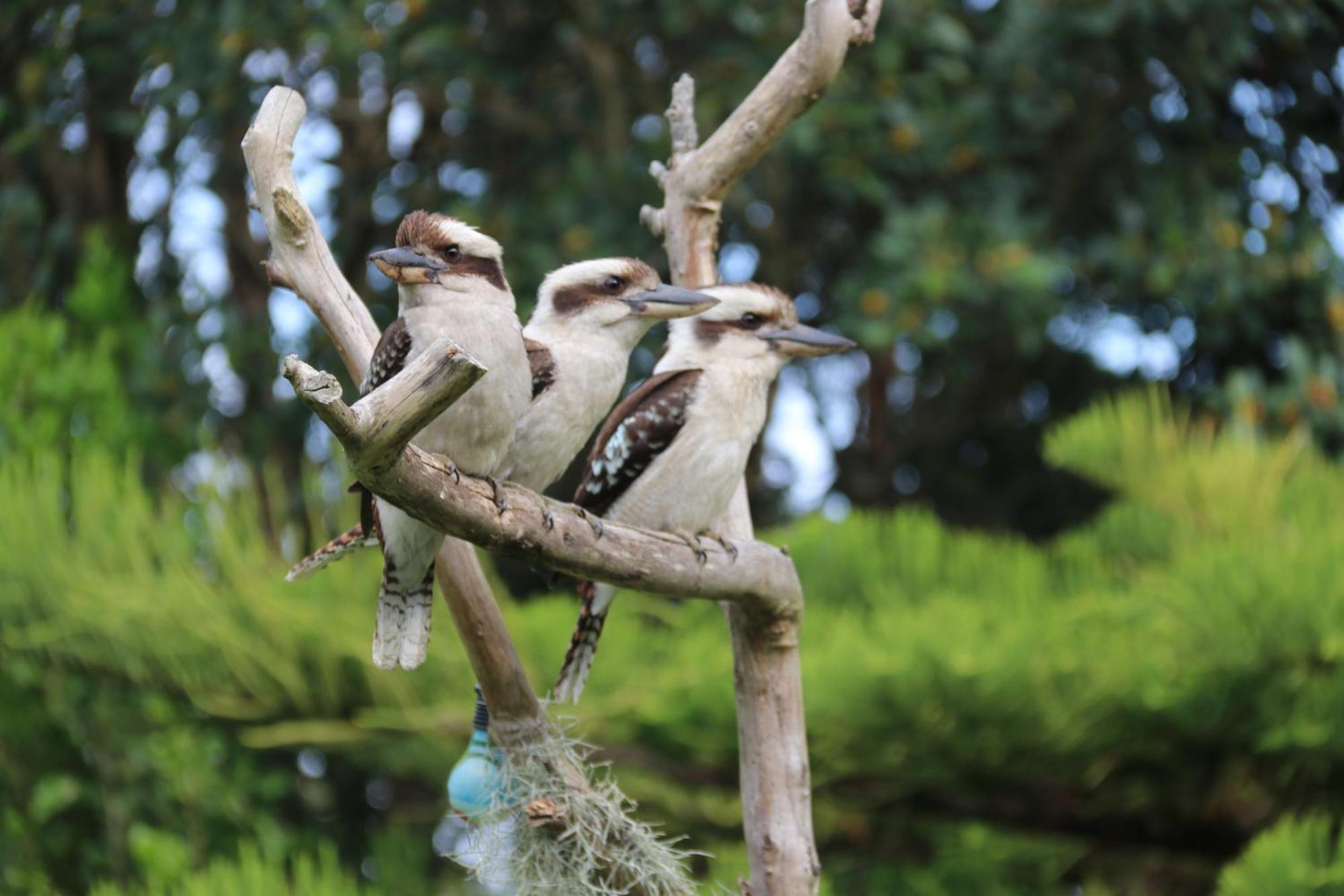 Salamander Bay Bed And Breakfast Luaran gambar