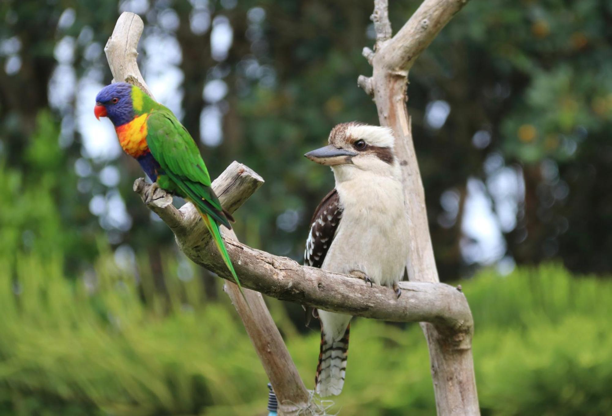 Salamander Bay Bed And Breakfast Luaran gambar