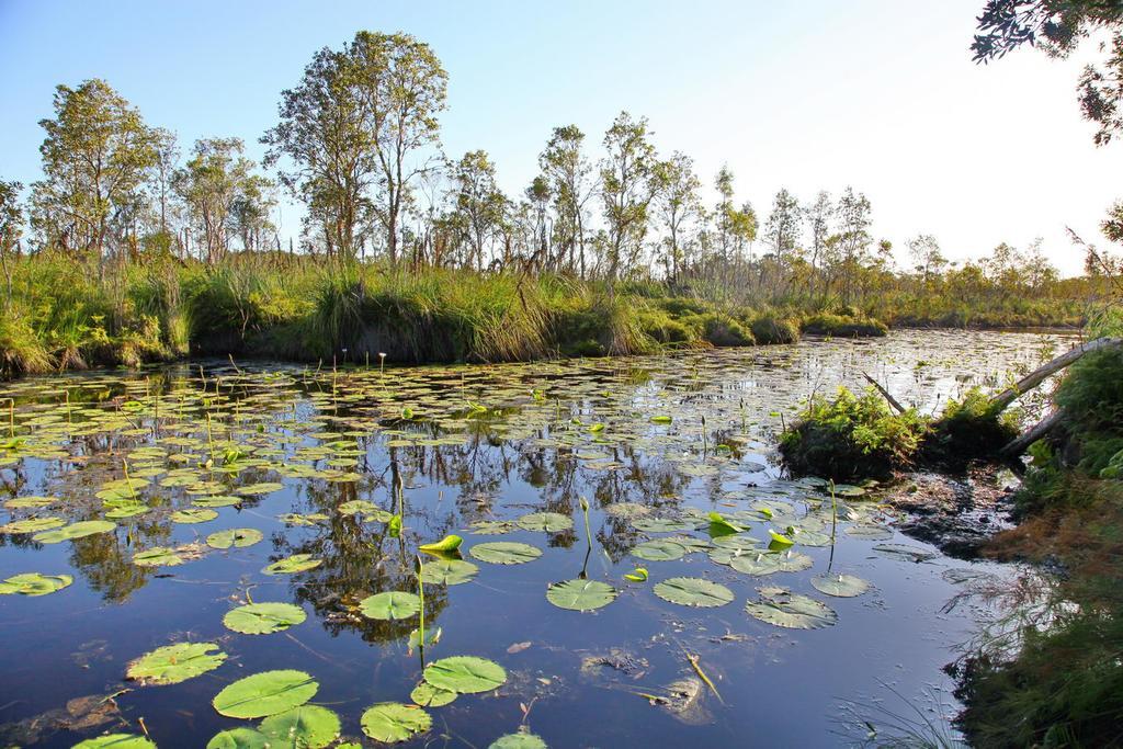 Salamander Bay Bed And Breakfast Luaran gambar